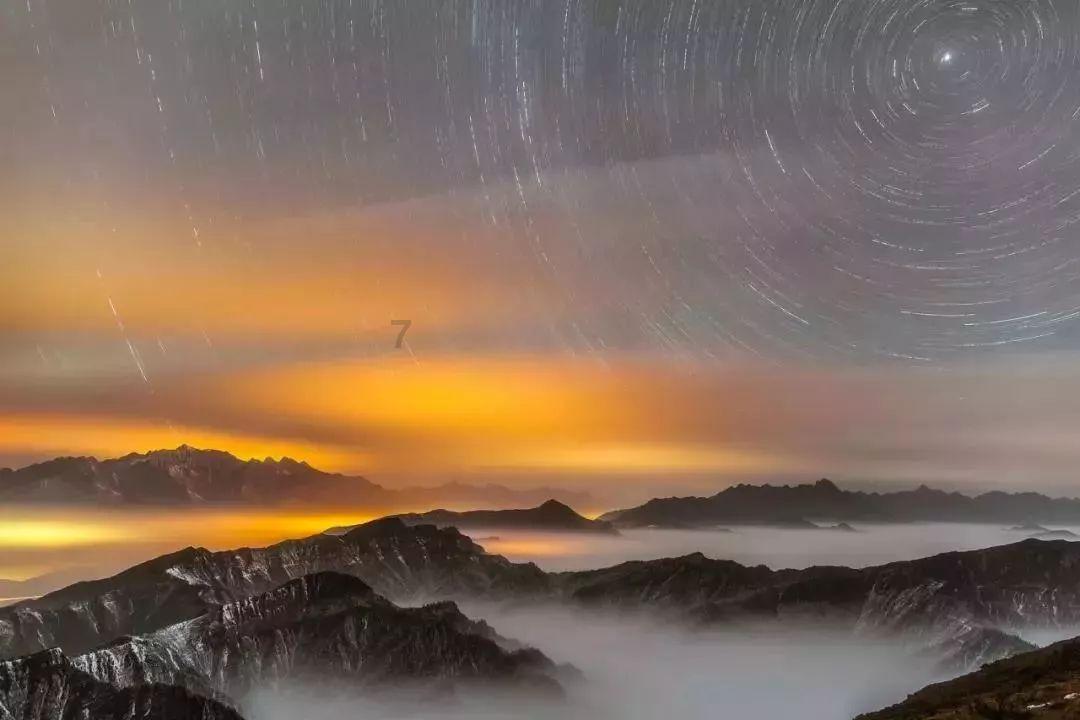 口袋森林世界杯传球大赛